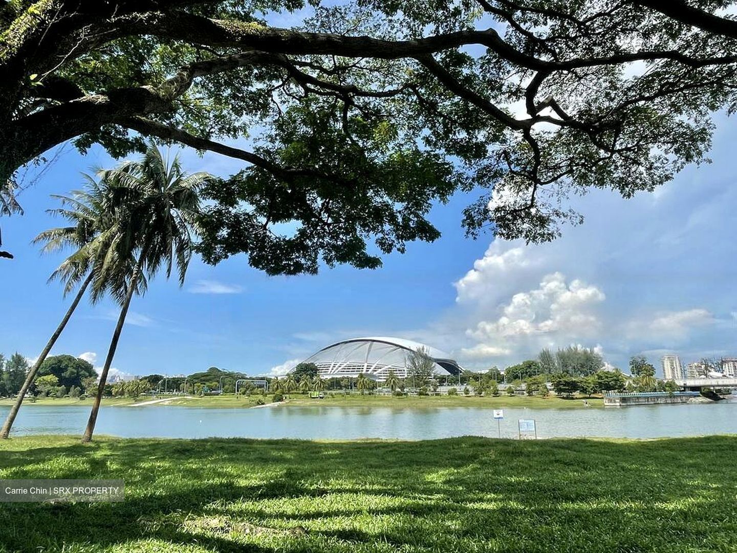 Kallang Riverside (D12), Apartment #483526331